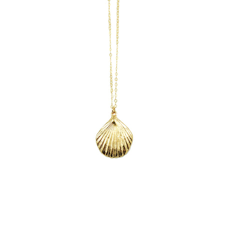 Large Shell Necklace ©